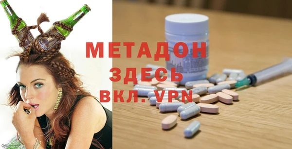 гашик Дмитров