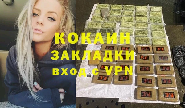 гидропоника Дмитриев