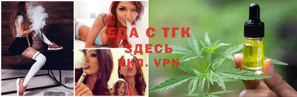гашик Ельня
