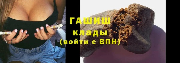 гашик Дмитров