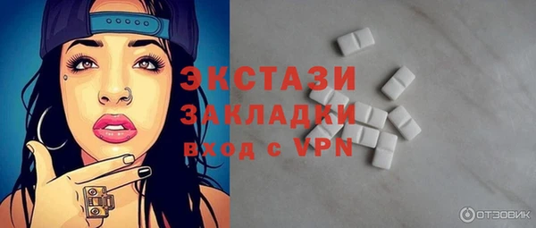 гашик Ельня