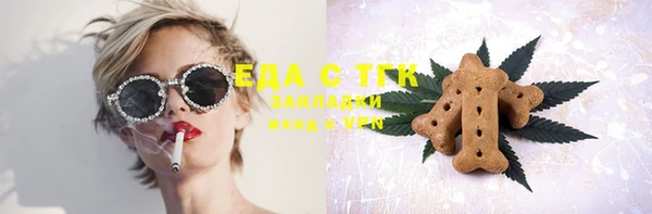 гашик Ельня