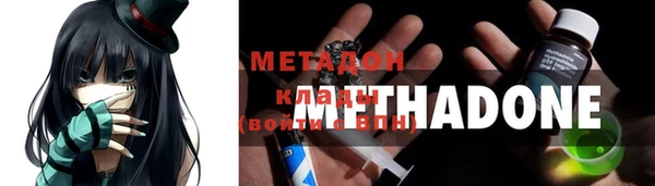 гашик Ельня