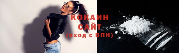 гашик Дмитров