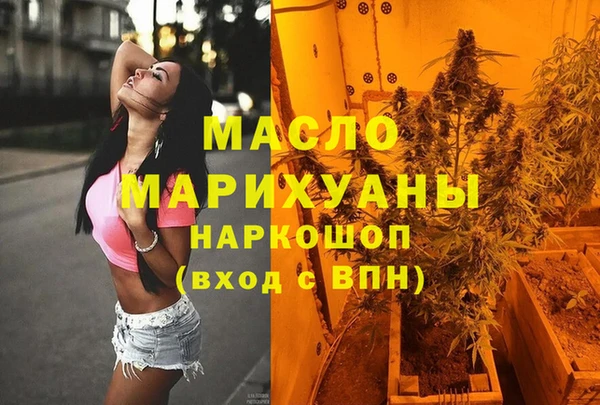 гашик Дмитров