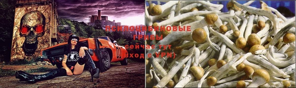 MDMA Premium VHQ Елабуга