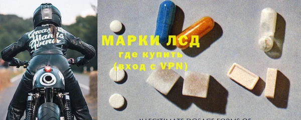 гашик Дмитров
