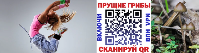 Псилоцибиновые грибы прущие грибы  Купить  Большой Камень 